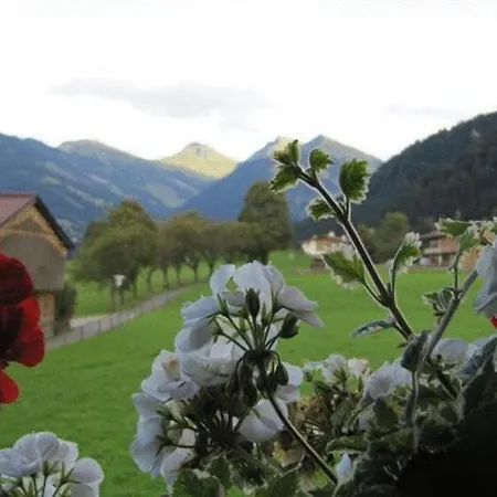 Haus Friedl Pensjonat 3*