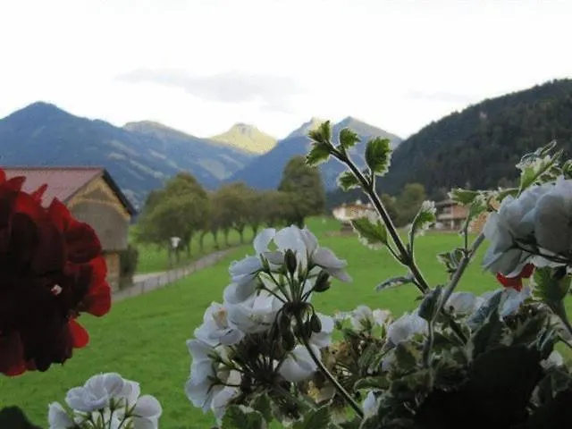 Haus Friedl Konukevi 3*